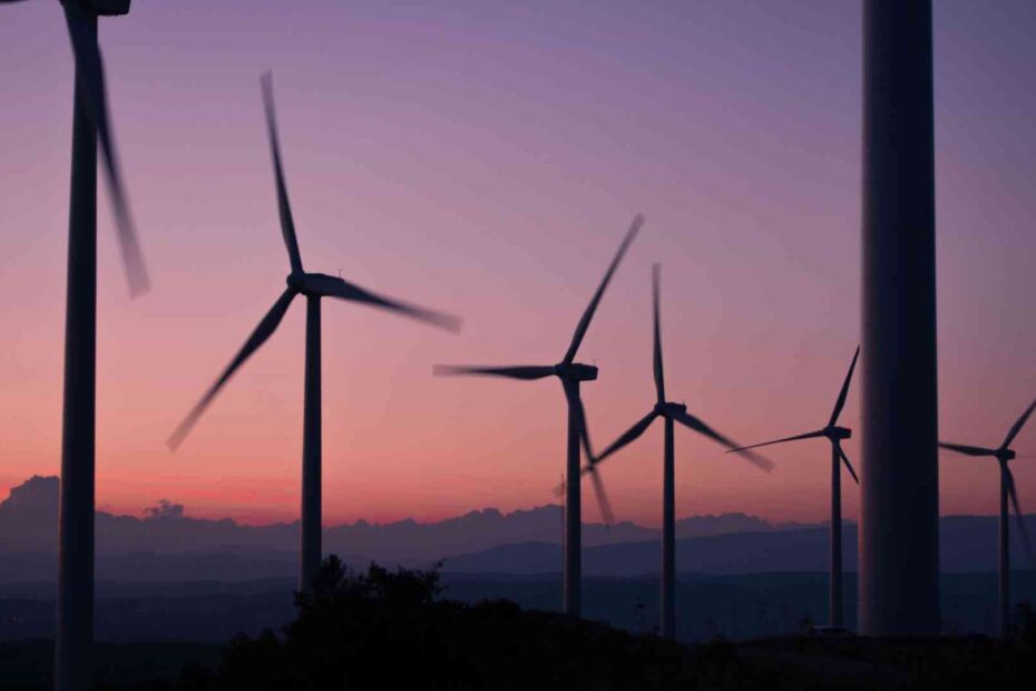 Wind farm with sunset in background