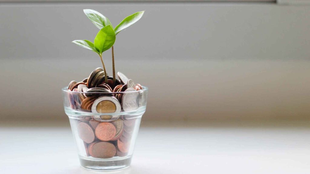 plants in glass full of coins