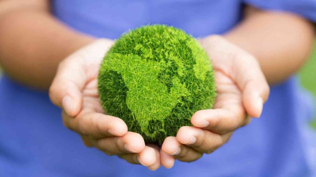 two hands holding globe grass